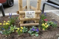 street gardening - poděkování